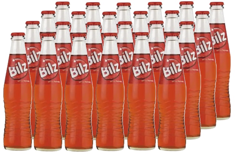 BILZ EXPRESS 350CC VIDRIO RETORNABLE CAJAx24