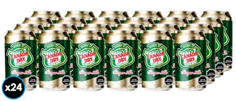 CANADA DRY 350CC LATA DISPLAYx24