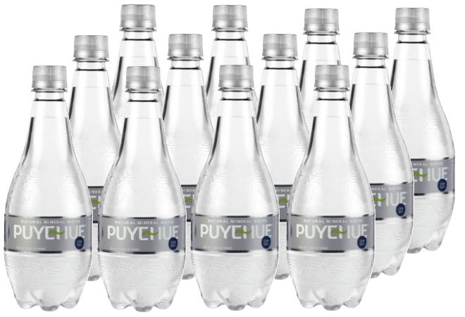 AGUA MINERAL PUYEHUE C-GAS 500CC DISPLAYx12