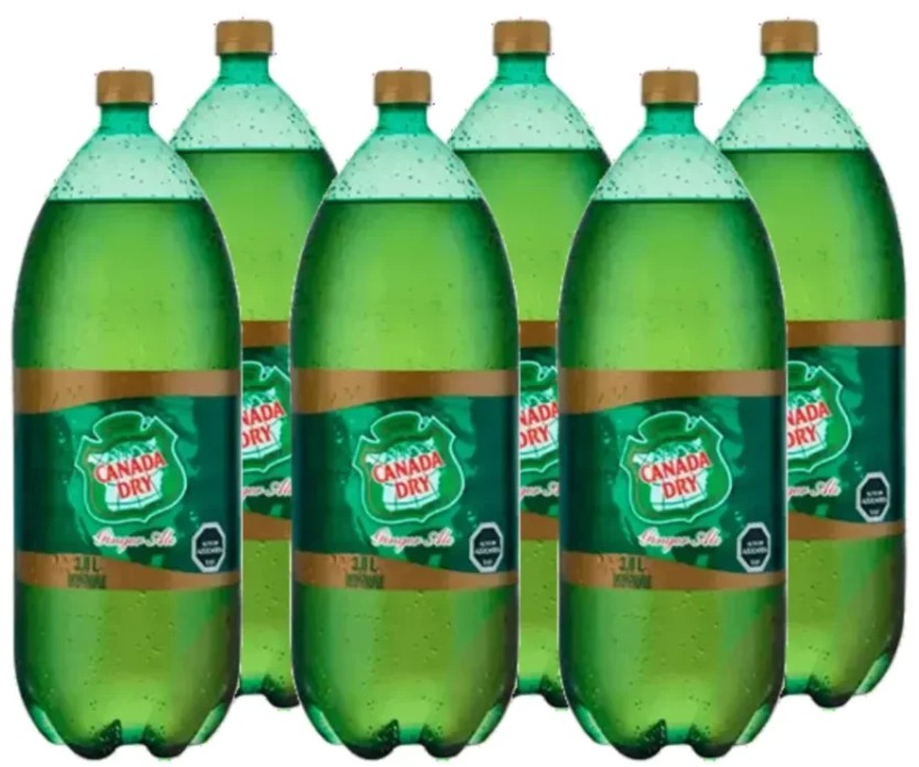 CANADA DRY PET 3000CC DISPLAYx6