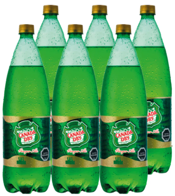 CANADA DRY GINGER ALE 1500CC DISPLAYx6