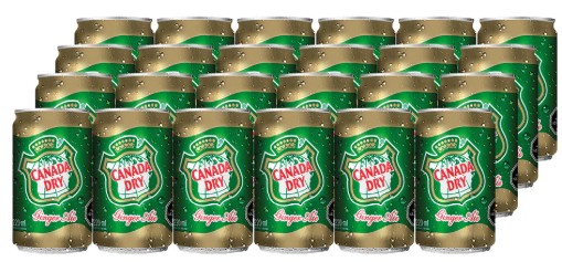 GINGER ALE MINI LATA 220CC CAJAx24