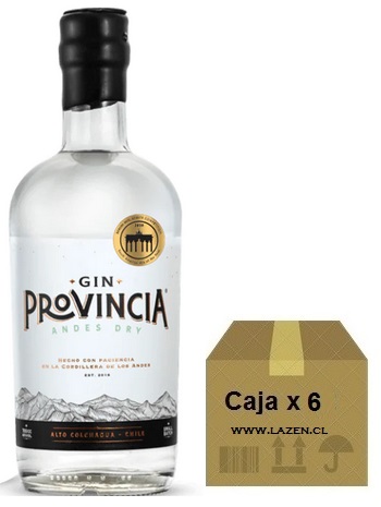 GIN PROVINCIA ANDES DRY 700CC 40GL CAJAx6
