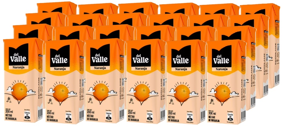 NECTAR ANDINA NARANJA 200CC PACKx24