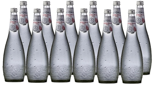 [Agua] AGUA MINERAL PUYEHUE VIDRIO C-GAS 750CC DISPLAYx12