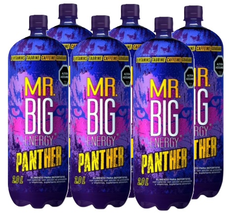 [Energética] MR BIG 2 LITROS PACKx6